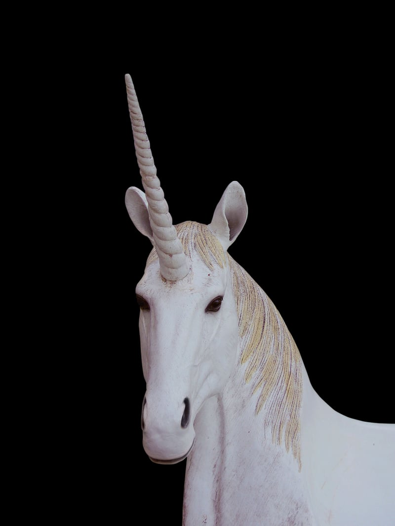Unicorn Horn Place Card Holders